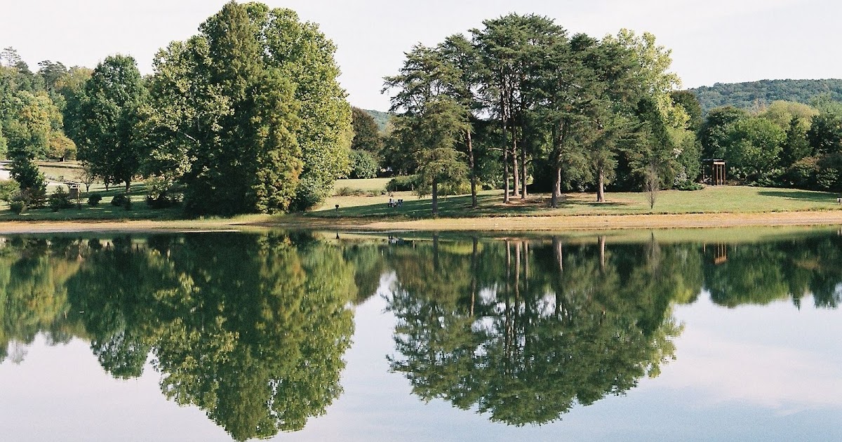 Alfred Joyce Kilmer poem "Trees" 1914 The Historical Tree Project